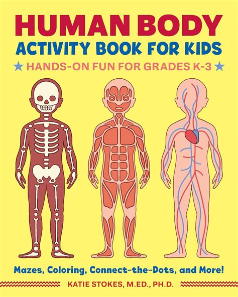 Human Body for Kids