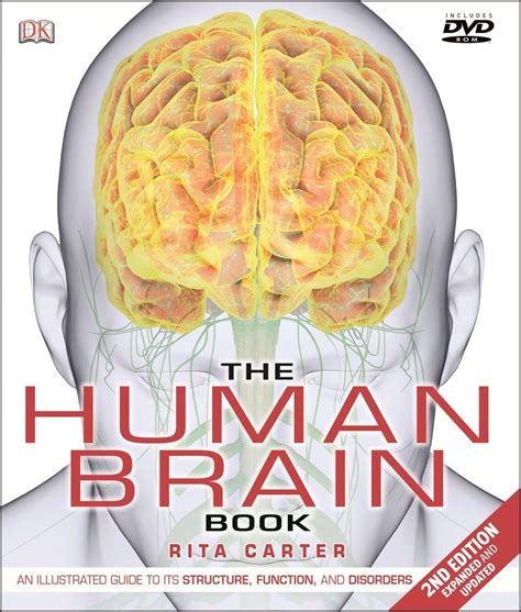 Human Brain Function