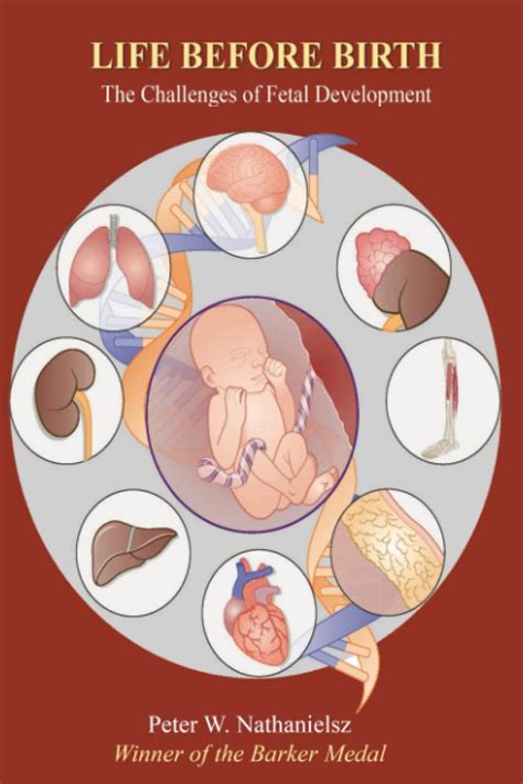 Human Life Before Birth