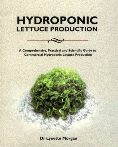 Hydroponic Lettuce Production