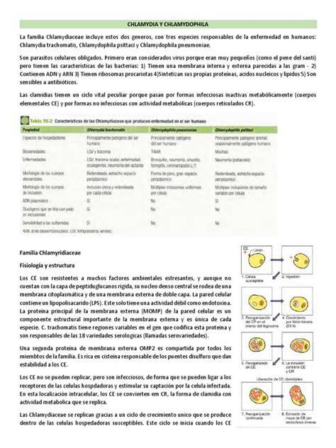 INFECCIONES POR ESPECIES DE CHLAMYDOPHILA Y CHLAMYDIA