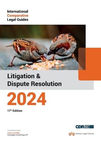 IP Litigation Guide (Paperback)