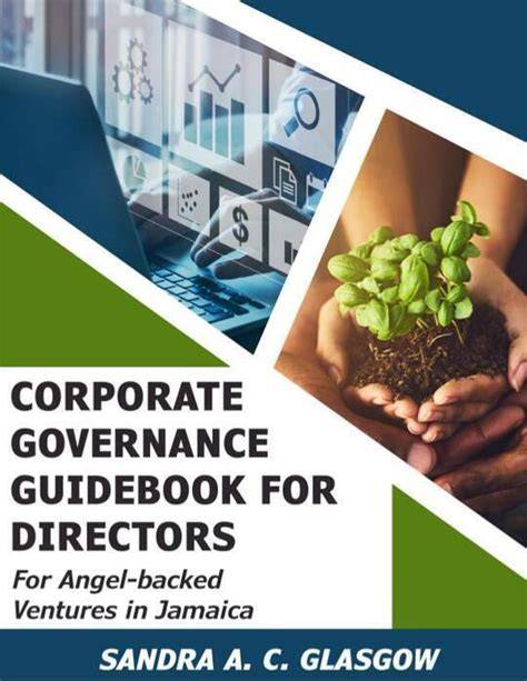 IT Governance by Examples