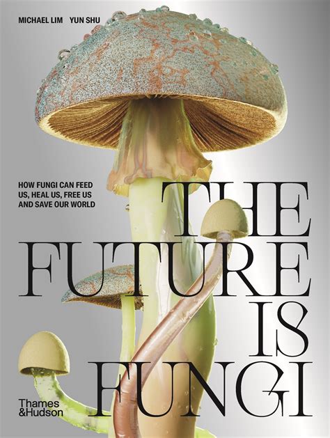 Identifying Fungi