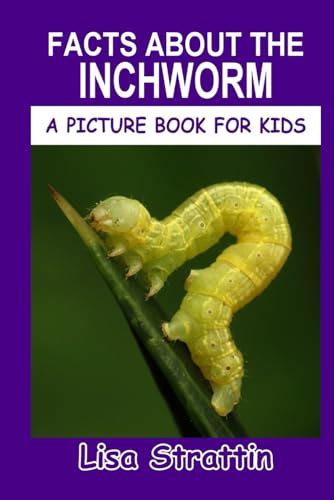 Inchworm Season