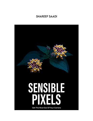 Ink and Pixels