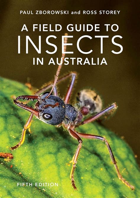 Insects in Australia