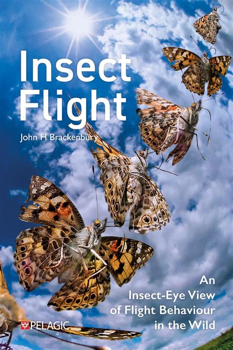 Insects in Flight
