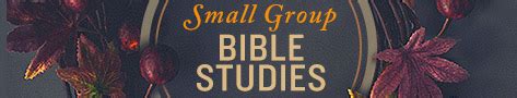Instant Bible Studies for Small Groups