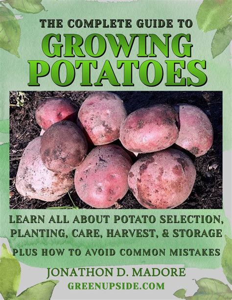 Internal Sprouting of Potatoes