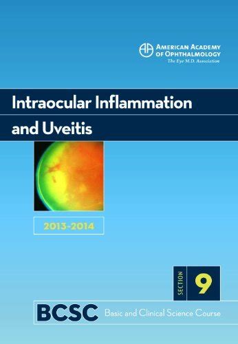 Intraocular Inflammation
