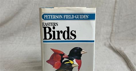 Introducing Our Eastern Birds