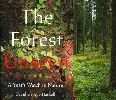 Introduction To Forestry