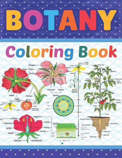 Introductory Botany Coloring Book