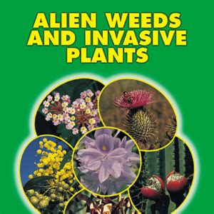 Invasive Plants