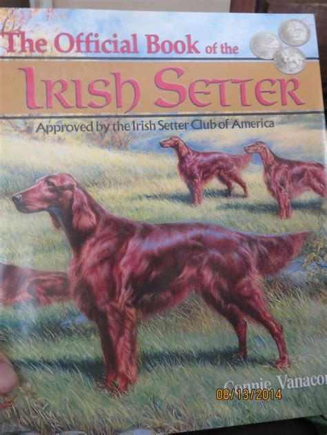 Irish Red and White Setter