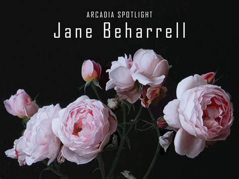 Jane Beharrell Spotlight at Arcadia