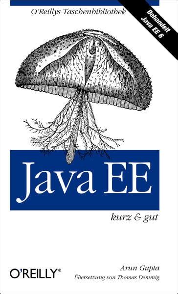 Java EE Security (German Edition)
