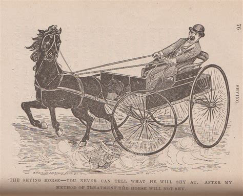 Jesse Beery's Practical System of Colt Training