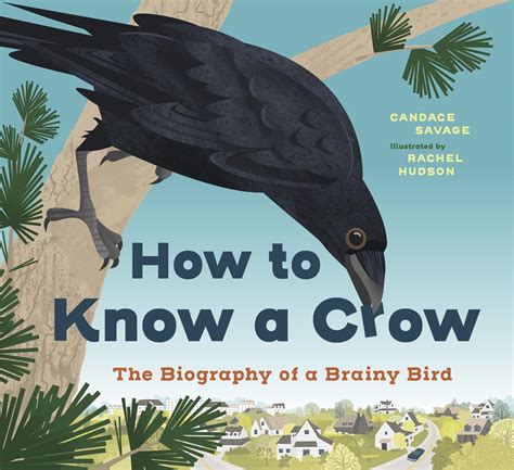 Judy And The Crow