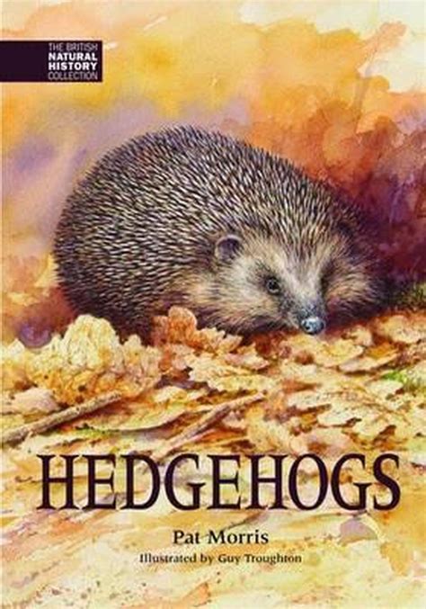 Justice for Hedgehogs