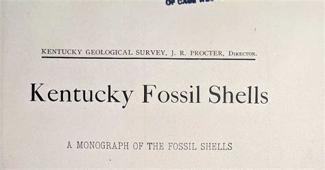 Kentucky Fossil Shells