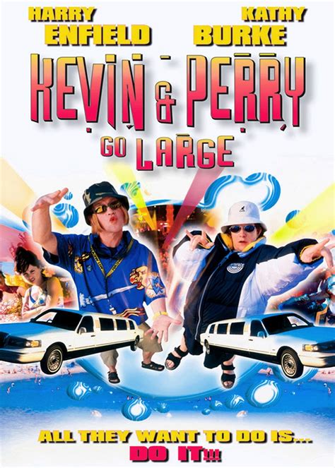 Kevin and Perry Go Large