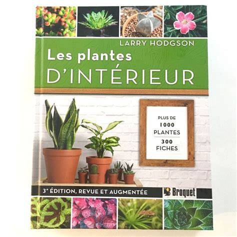 LES PLANTES DE VERANDA