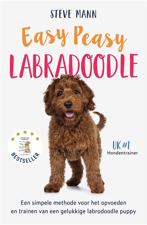 Labradoodle