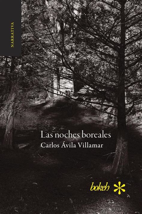 Las noches boreales