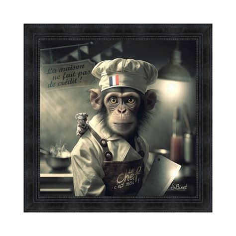 Le Singe cuisinier