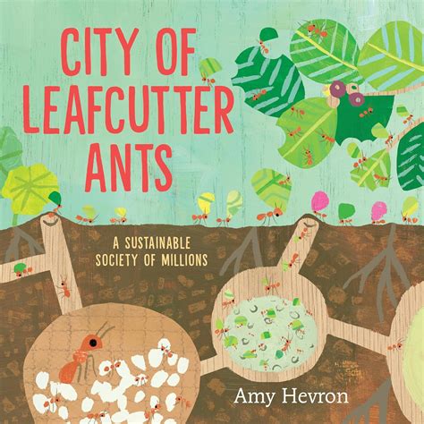 Leaf Cutter Ants