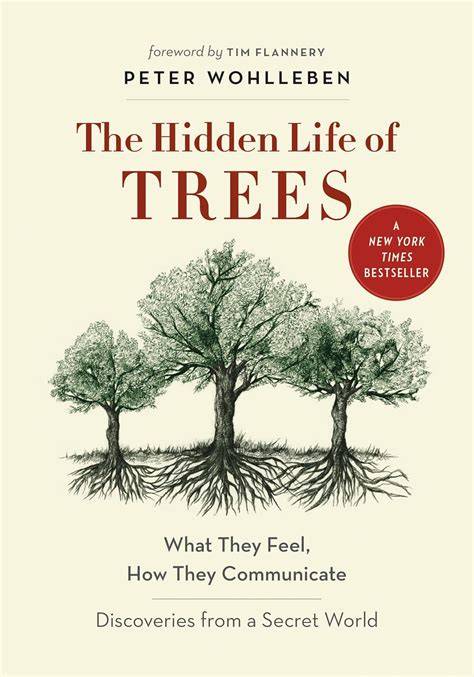 Lean In : Hidden Tales in Trees