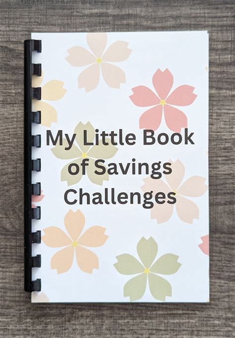 Learning How To Budget and Save Money