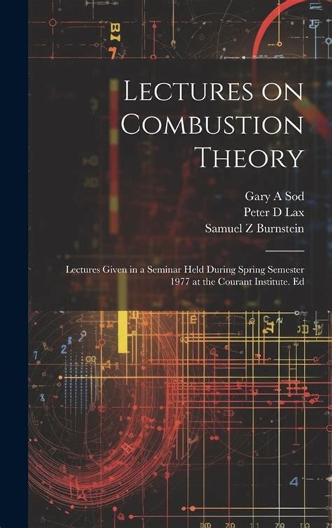 Lectures on Combustion Theory