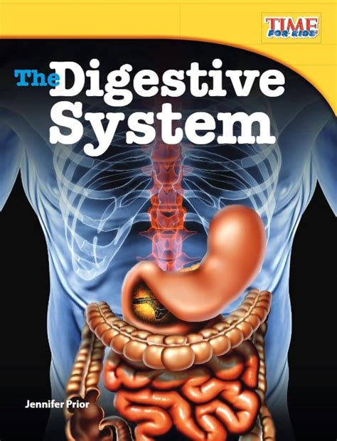 Lectures on Digestion