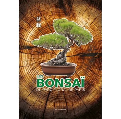 Les bonsaï