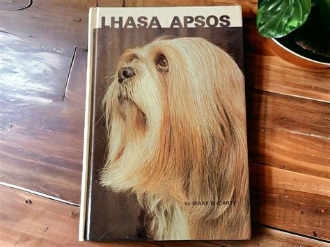 Lhasa Apsos