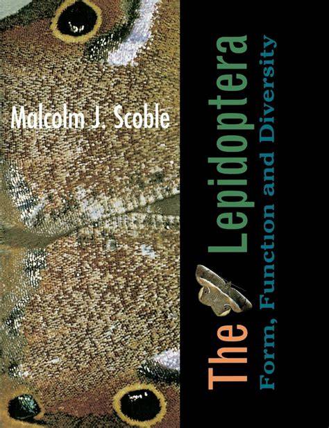 Literature: Form And Function