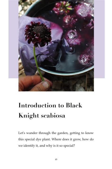 Living Colour Issue 1