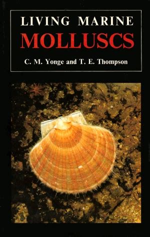 Living marine molluscs