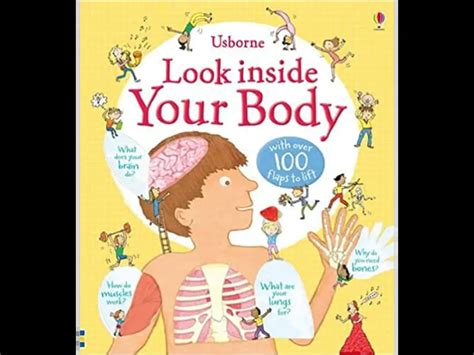Look Inside Your Body