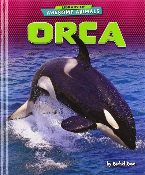 Looking for Orca