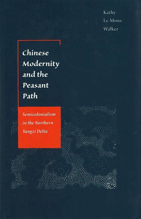 Lyrical modernity(Chinese Edition)