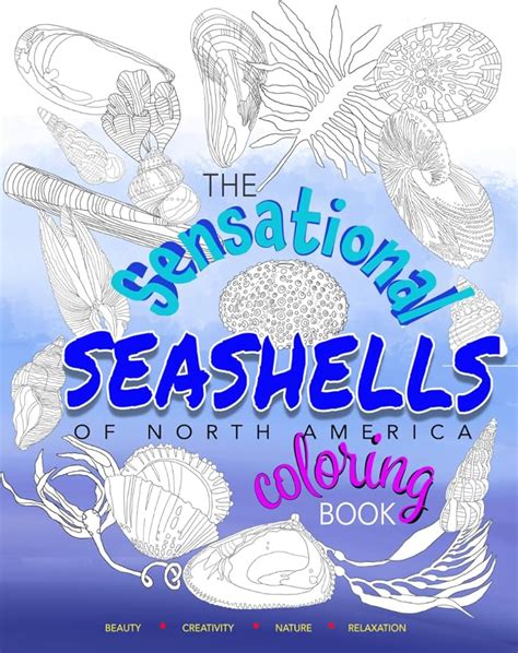 MOM's Drawing (Sea Shell): Kid's Coloring Book