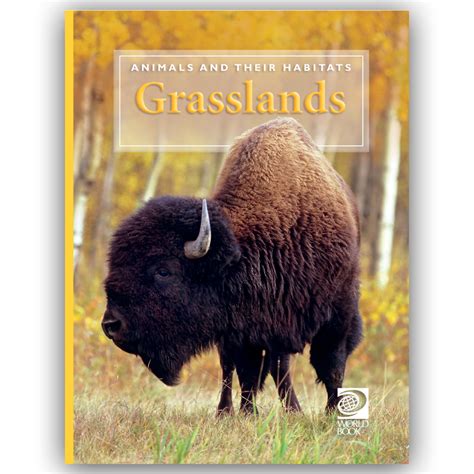 MOUNTAIN GRASSLANDS OF NEW GUINEA