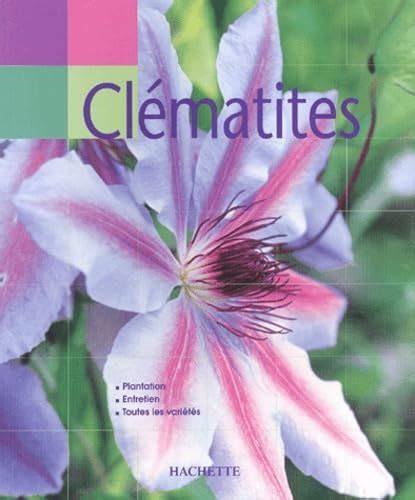 Main verte : Clématites