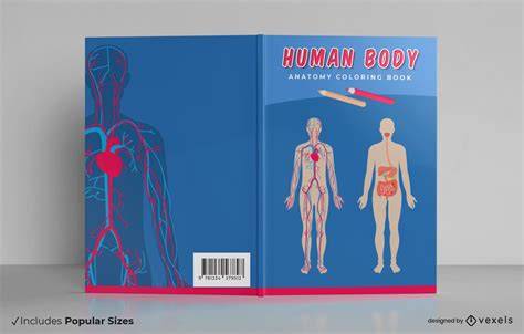 Man's Body