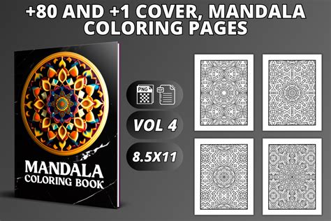 Mandala Coloring Vol VI