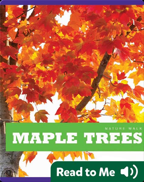 Maple Tree Level 5 Teachers Book with DVD